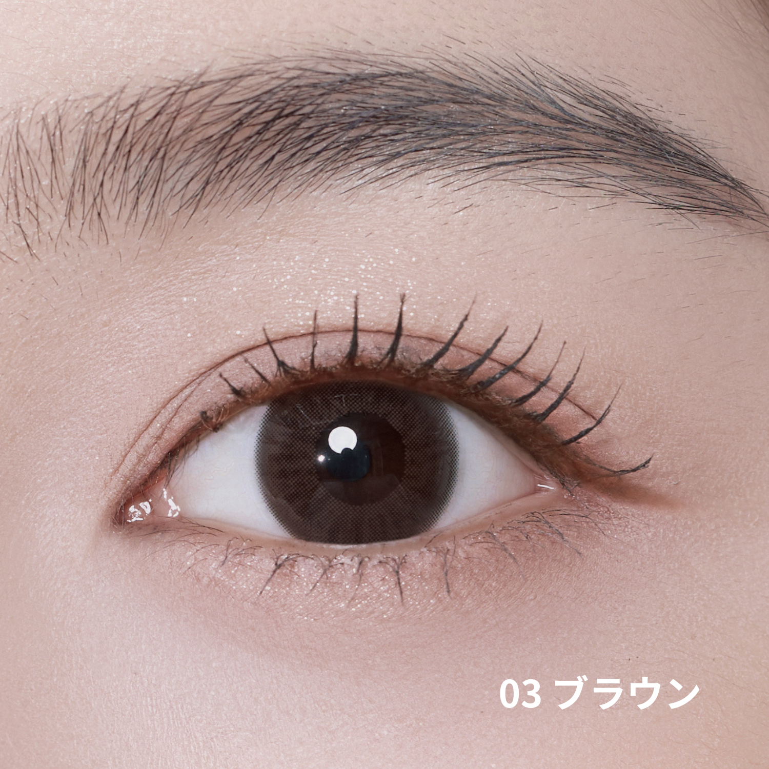 ブラッシュクリームライナー