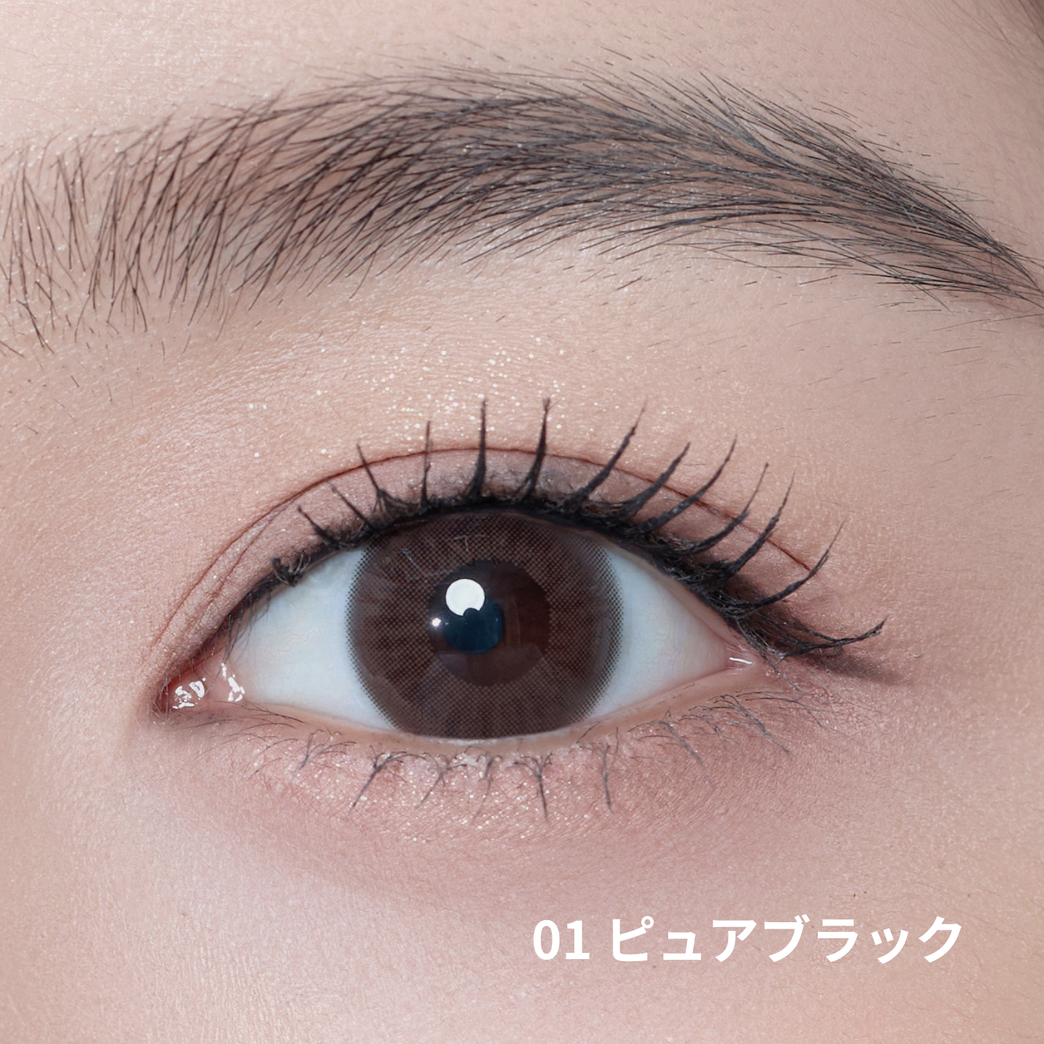 ブラッシュクリームライナー